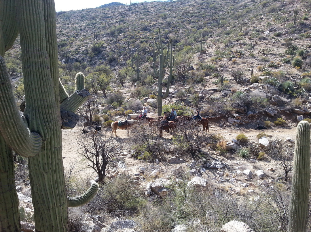 Way Out West Ranch-马拉纳必去景点
