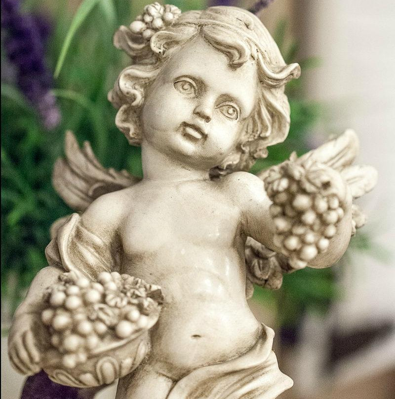 Machowa酒店住宿-Hotel Lord