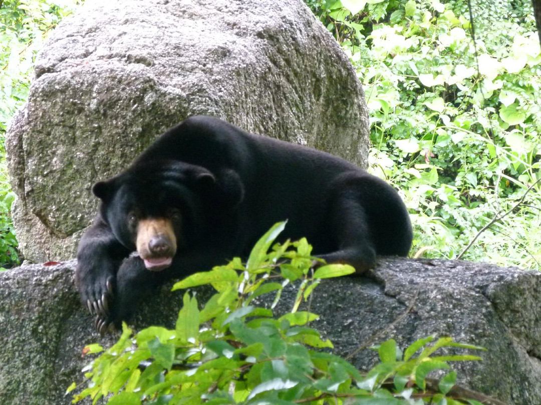 金边野生动物园-金边必去景点