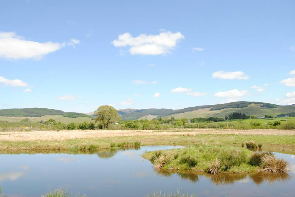 Moffat Community Nature Reserve景点图片