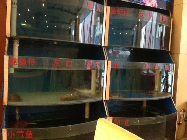 北京中矿宾馆（雍和宫地铁站地坛店）-餐饮