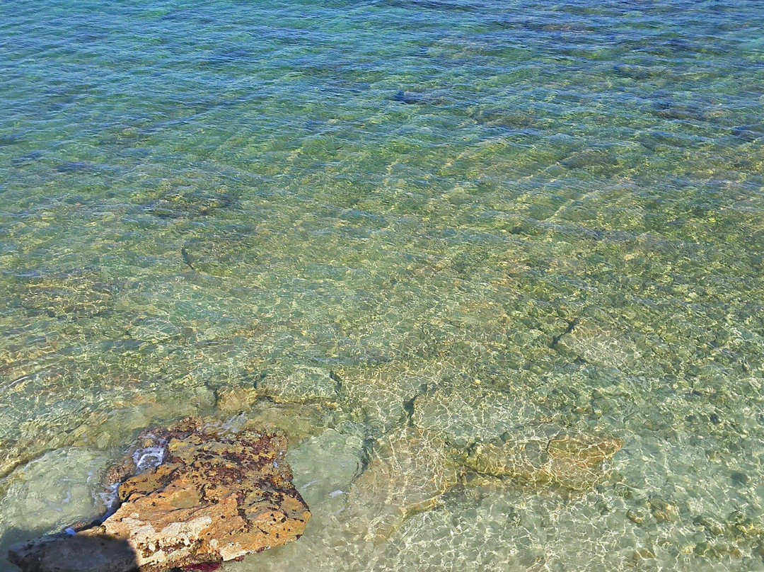 Fish Market-黎波里必去景点