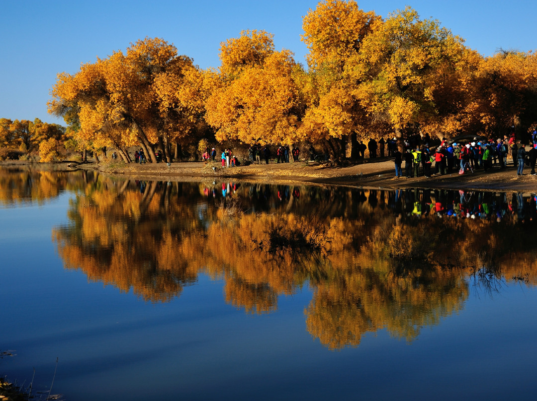 内蒙古额济纳旗胡杨林国家级自然保护区-阿拉善左旗必去景点