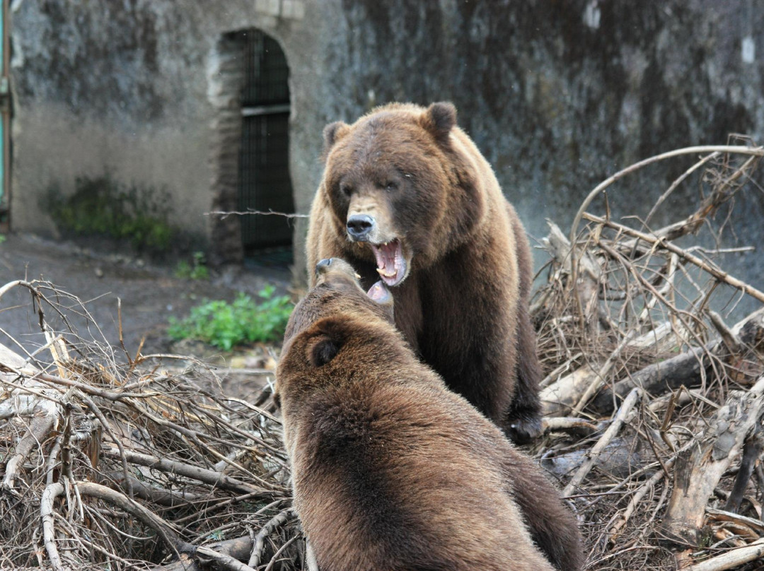 Fortress of the Bear-锡特卡必去景点