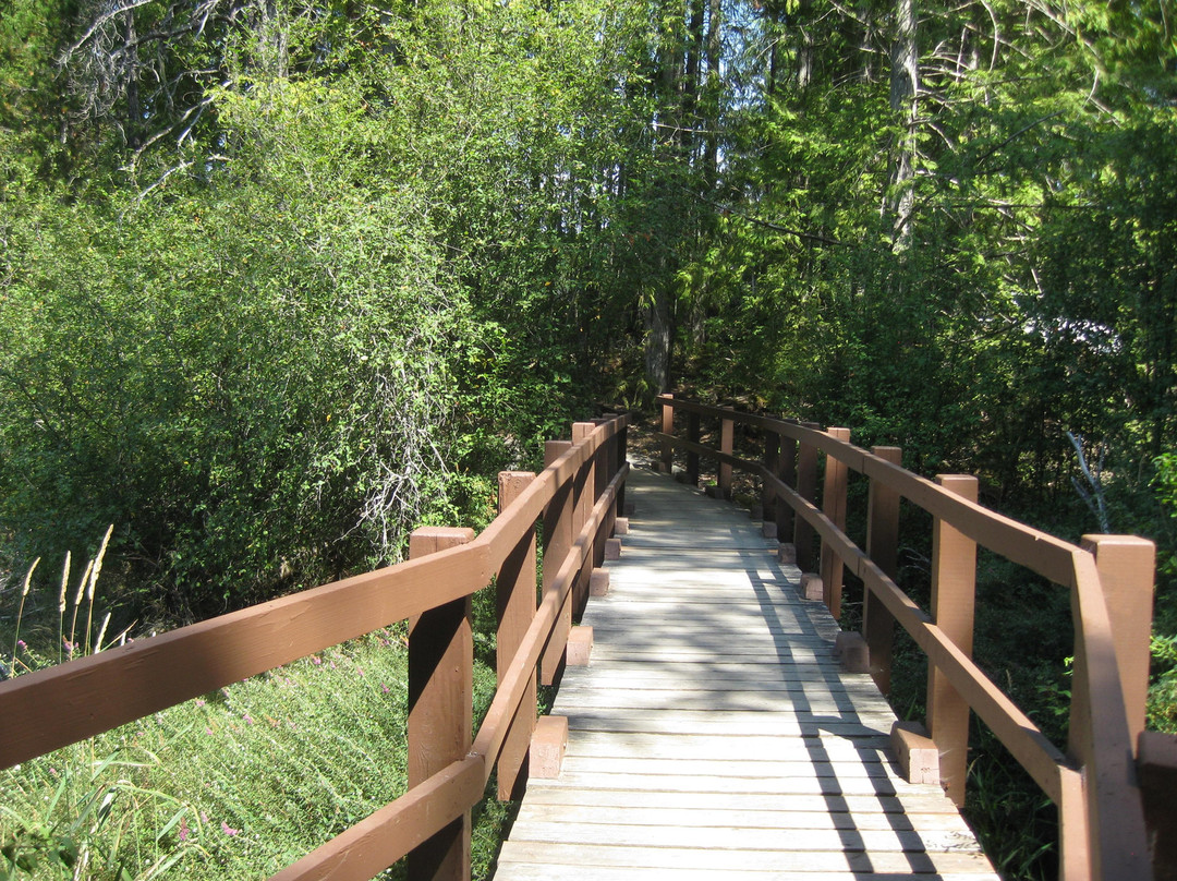 Spider Lake Provincial Park景点图片