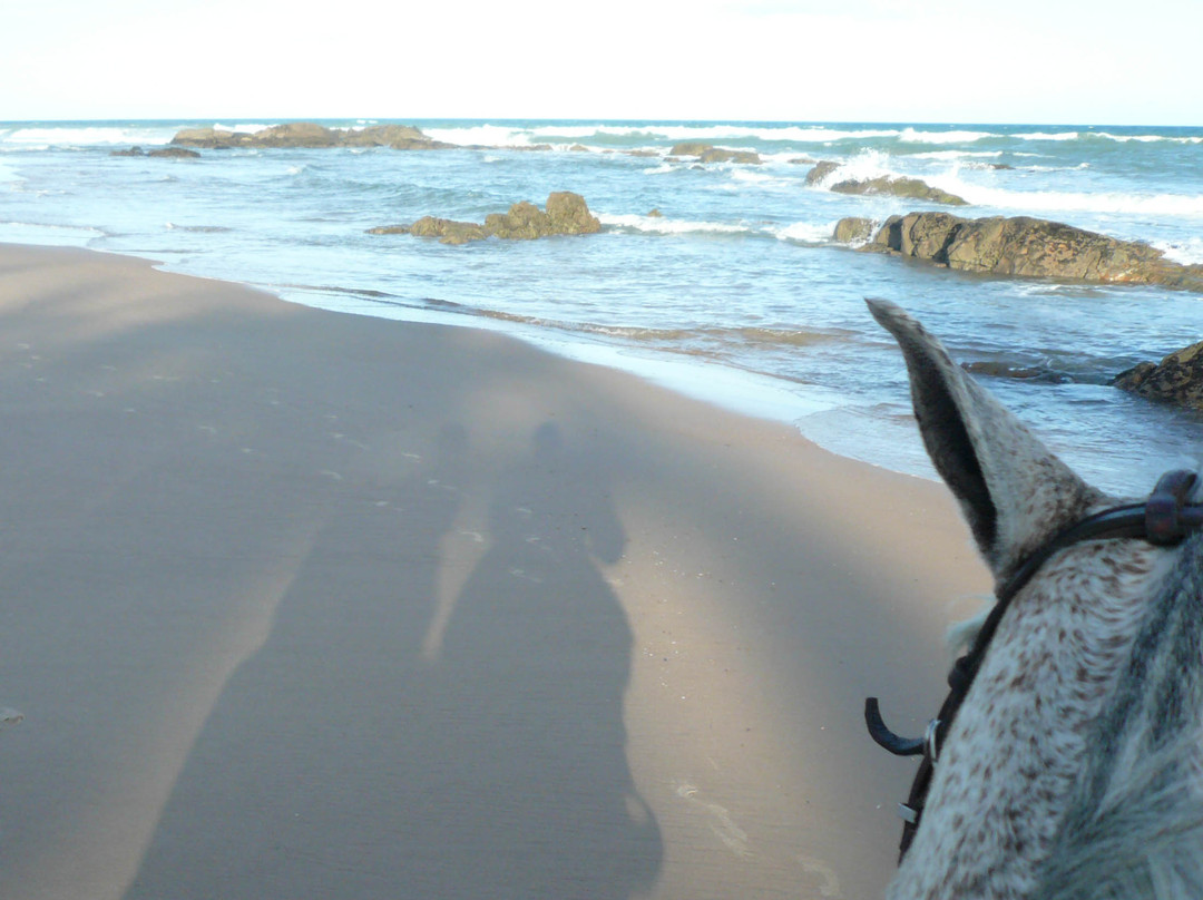 Diogo酒店住宿-Pousada Roana