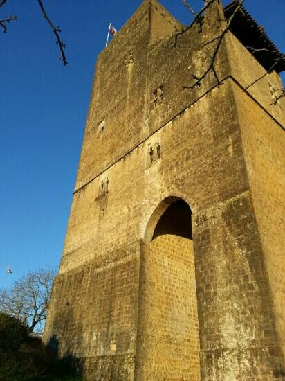 Tour De Termes D'armagnac景点图片