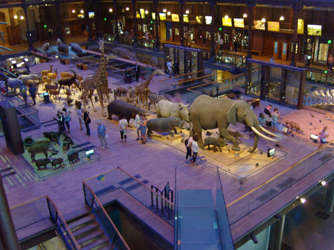 自然历史博物馆-巴黎必去景点