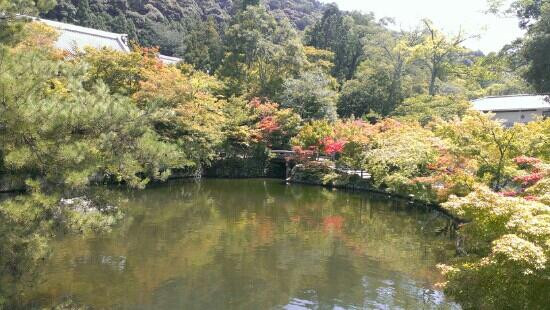 永观堂-京都市必去景点