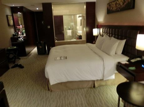 浦东绿地铂骊酒店主图