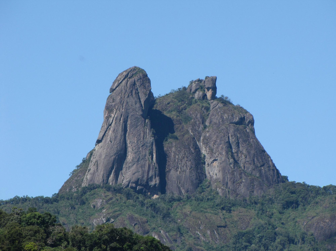 Pico da Pedra Selada景点图片