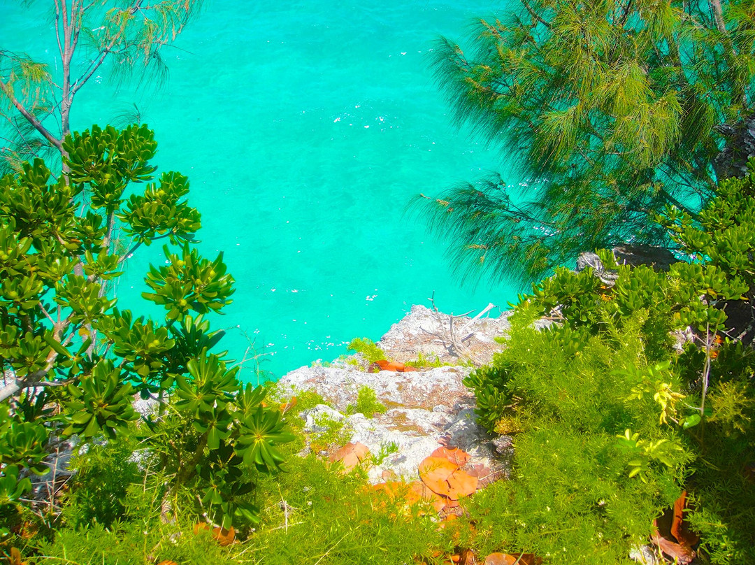 Admiralty House Park-汉密尔顿必去景点