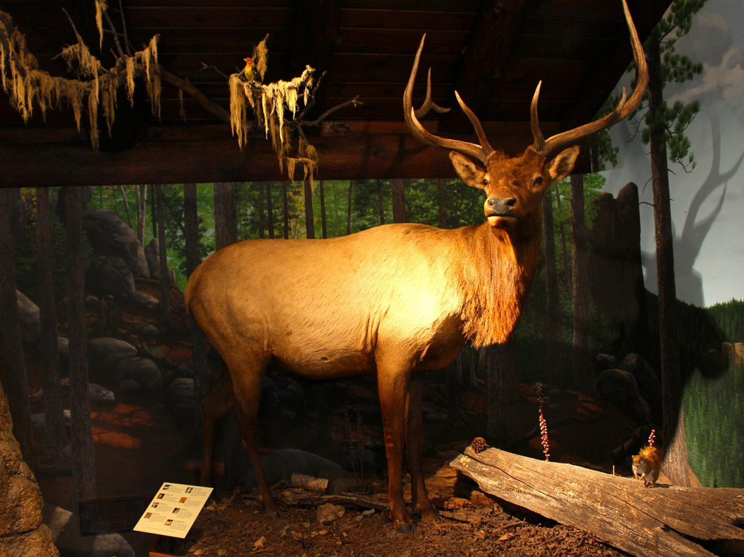 Peter Norbeck Outdoor Education Center-卡斯特必去景点