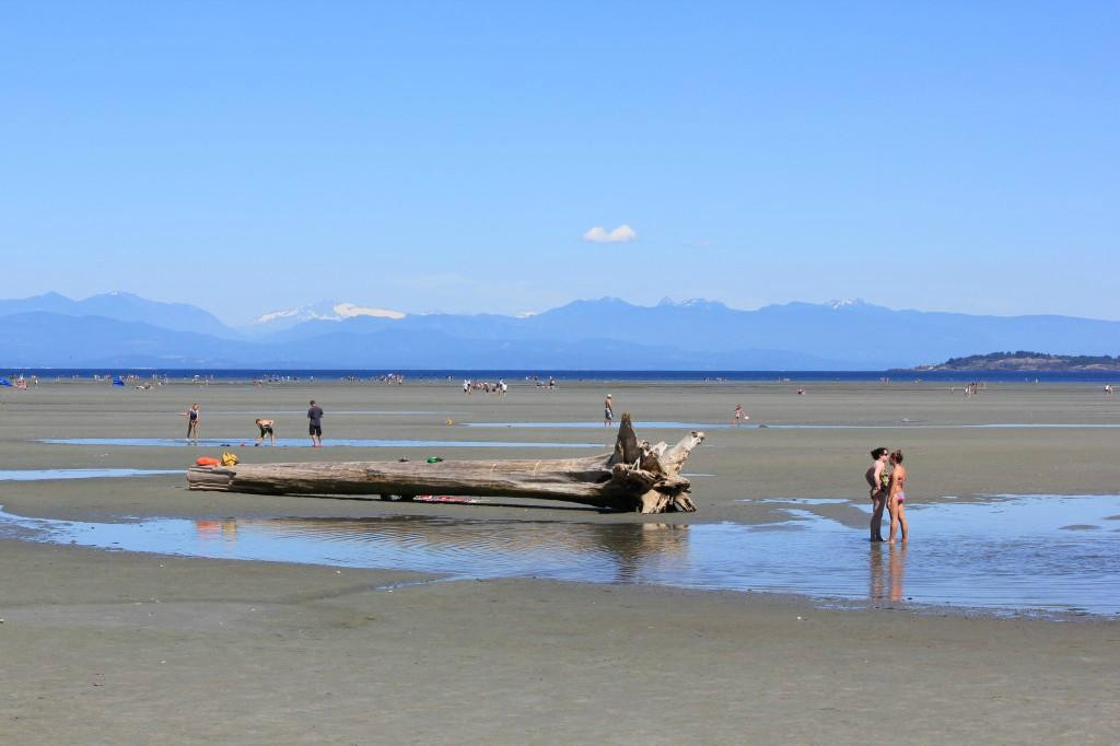 海滩省立公园-帕克斯维尔必去景点