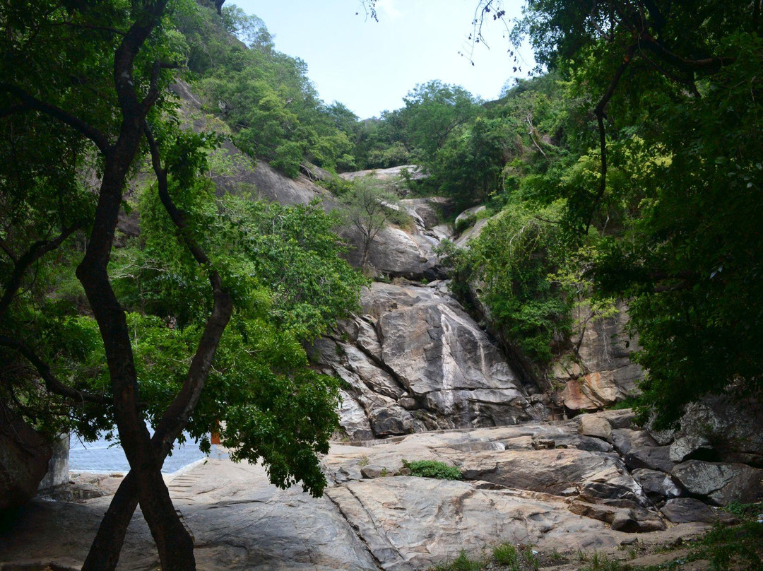 Monkey Falls景点图片