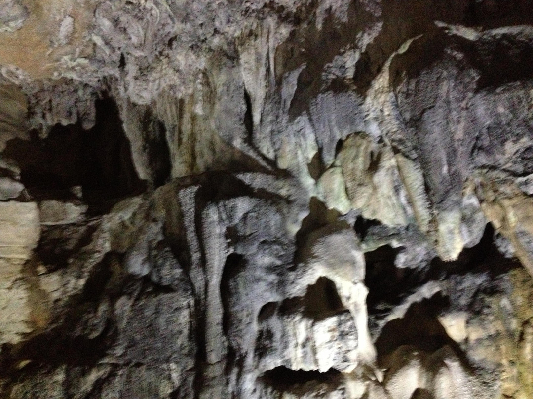 Carter Caves State Resort Park-Olive Hill必去景点