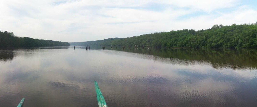 Mangrove Bedul Ecotourism-Sumberasri必去景点