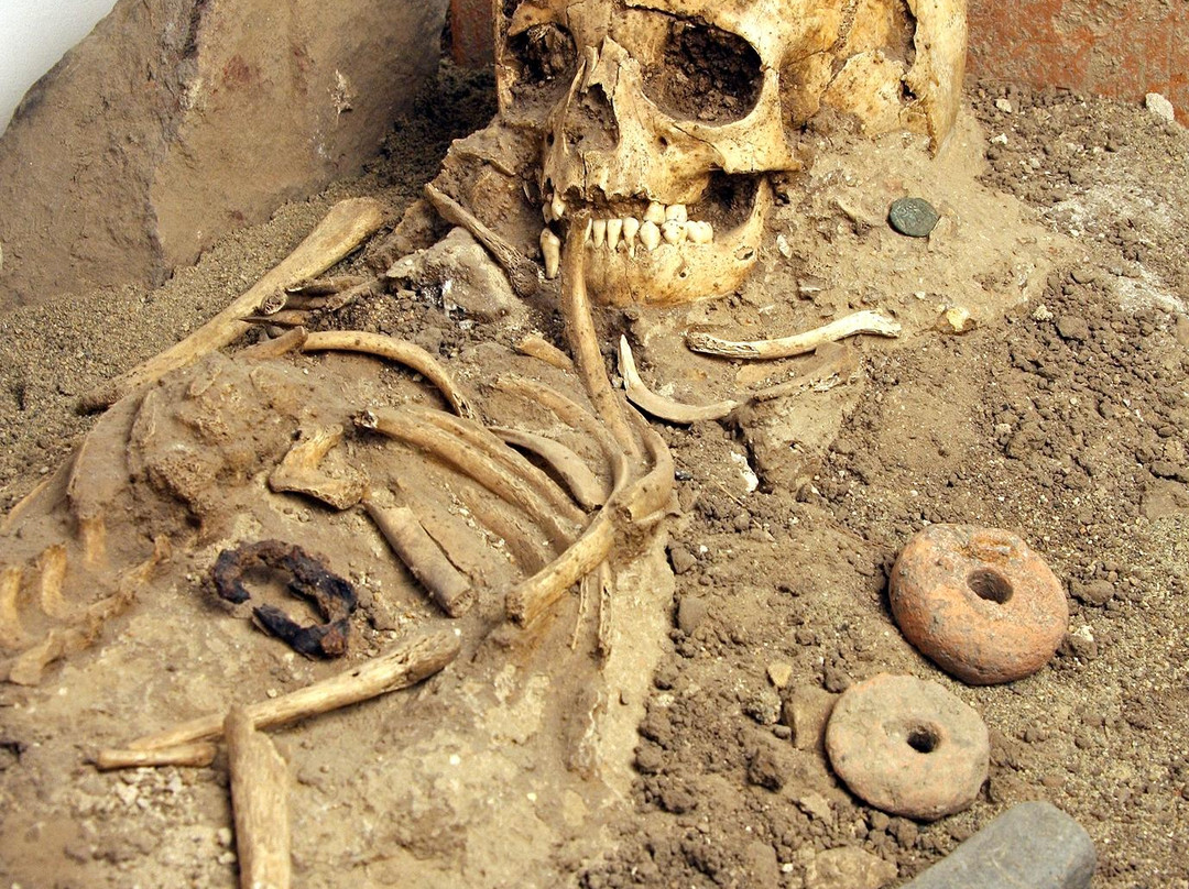 Musee archeologique de Soyons景点图片