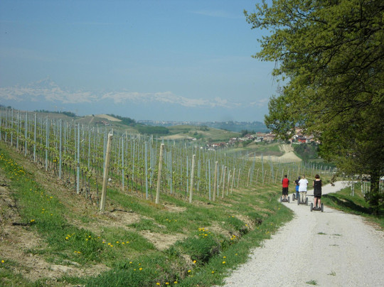 Albaway-阿尔巴必去景点