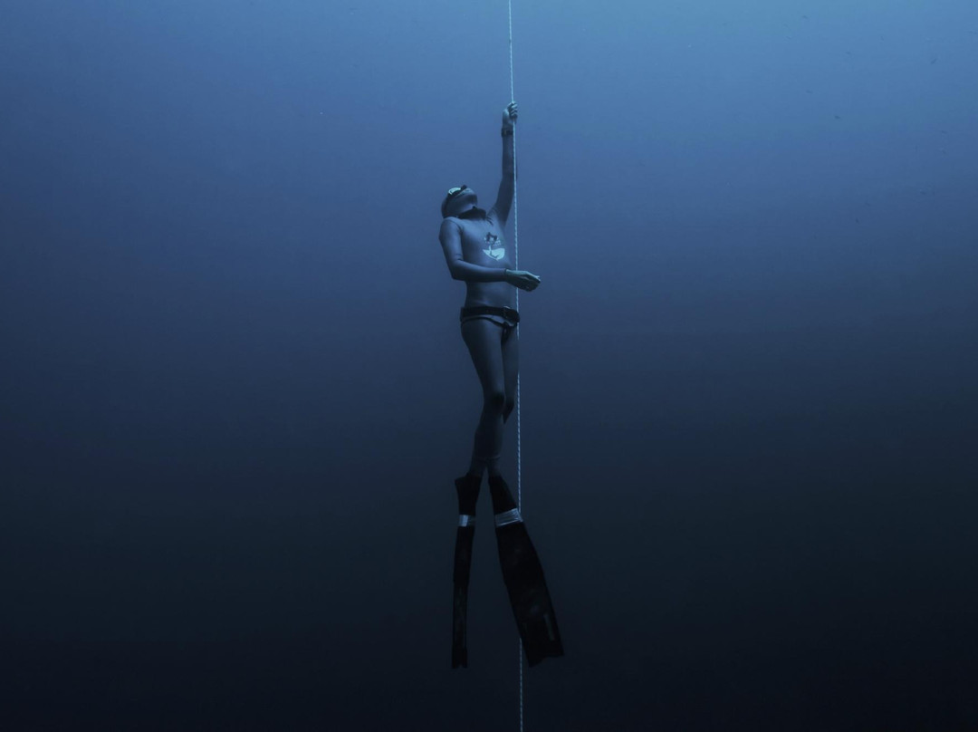 Apnea Canarias Freediving Center-圣克鲁斯-德特内里费必去景点
