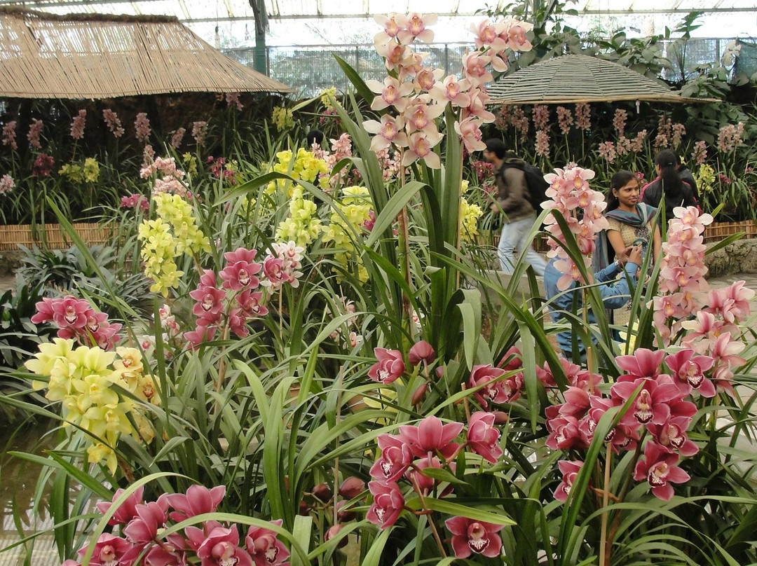 Flower Exhibition Centre-甘托克必去景点