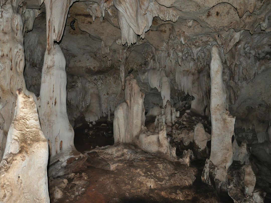 Kiwengwa Caves景点图片