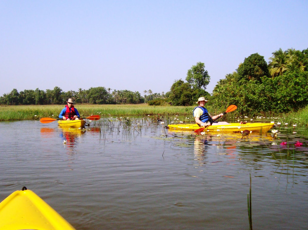 Goa Kayaking景点图片
