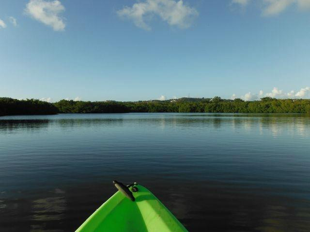 Luminita Kayak Biobay Tours景点图片