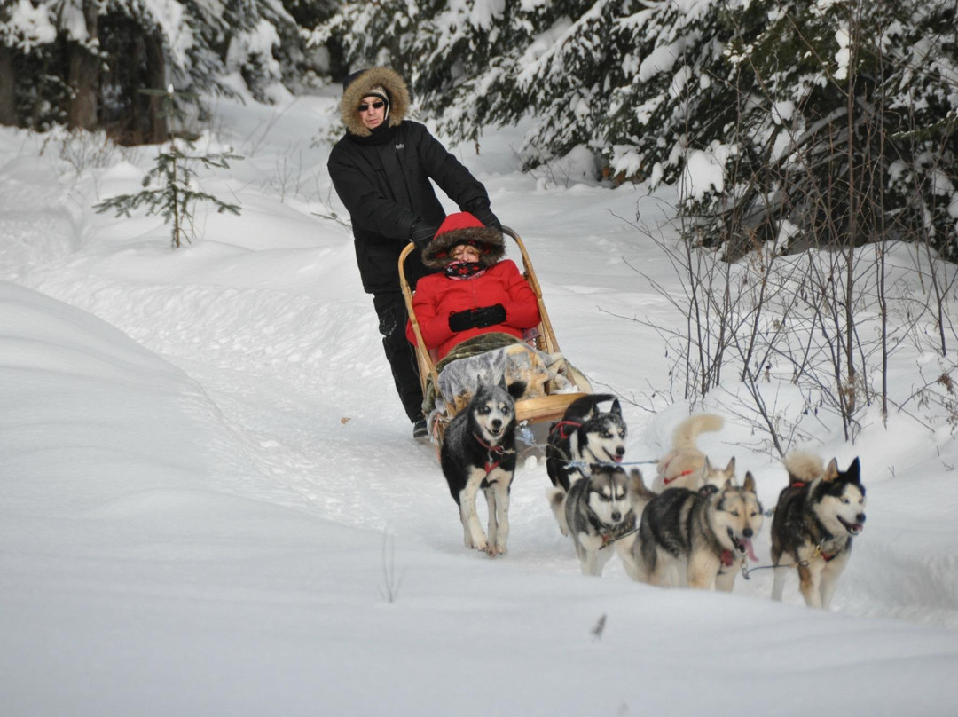 Aventure du Husky-Labelle必去景点