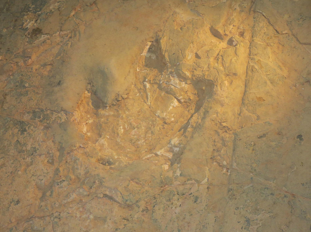 Australian Age of Dinosaurs-Winton必去景点