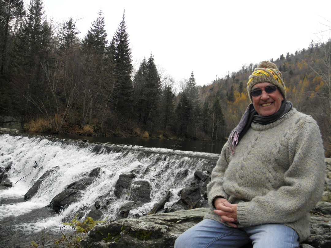 海林横道东北虎林园-海林市必去景点