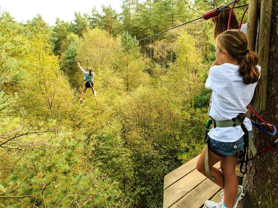 Go Ape Buxton-巴克斯顿必去景点