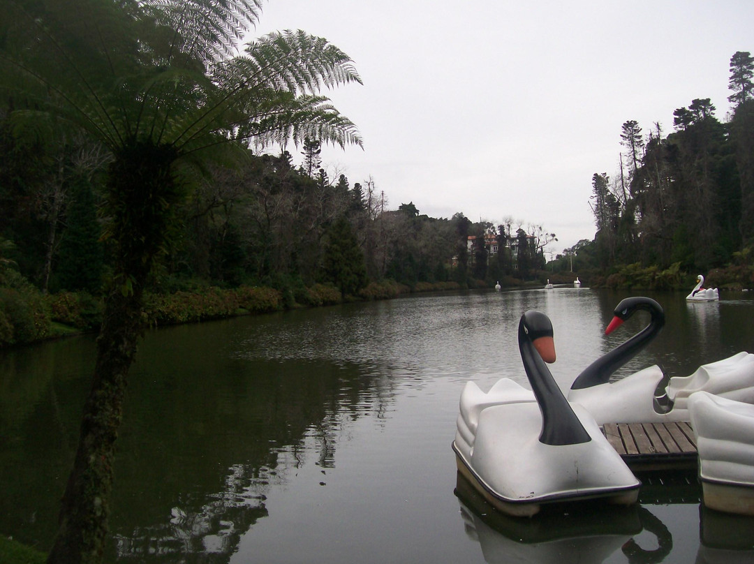 Lago Negro-格拉玛多必去景点