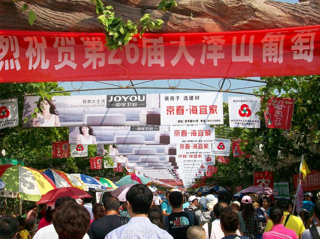 大泽山-平度市必去景点