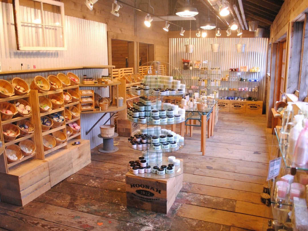 Icy Strait Point-胡纳必去景点