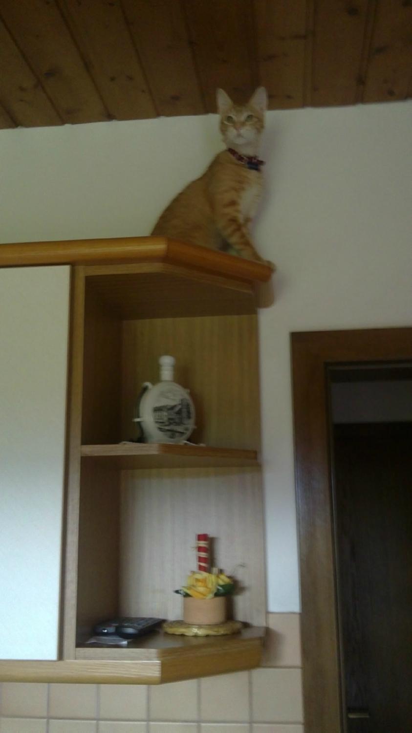 Pension Santl-客卧