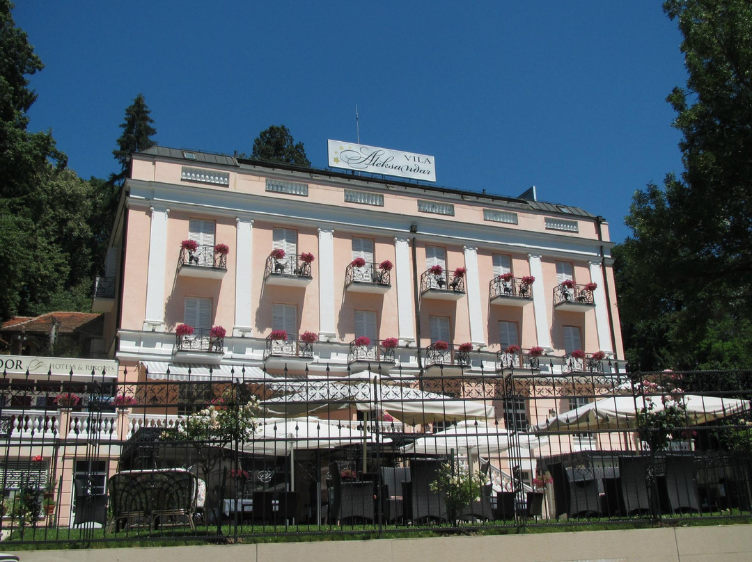 Aleksandrovac酒店住宿-Hotel Vila Aleksandar