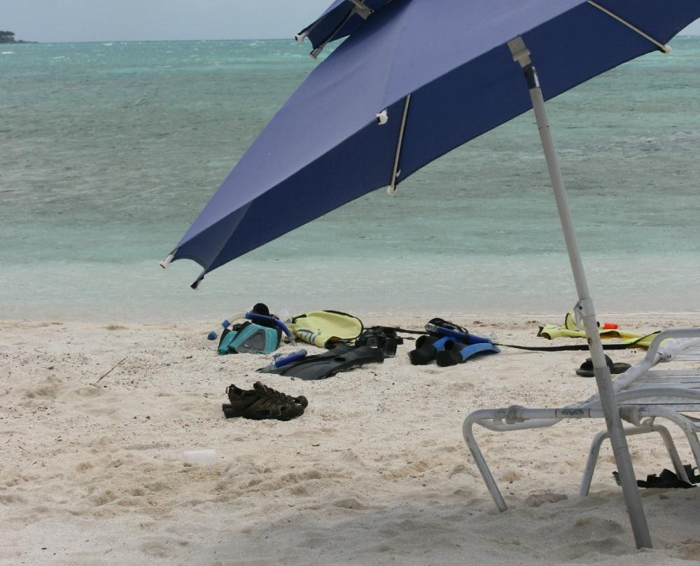 Miguel's Holiday Adventure-圣 约翰必去景点