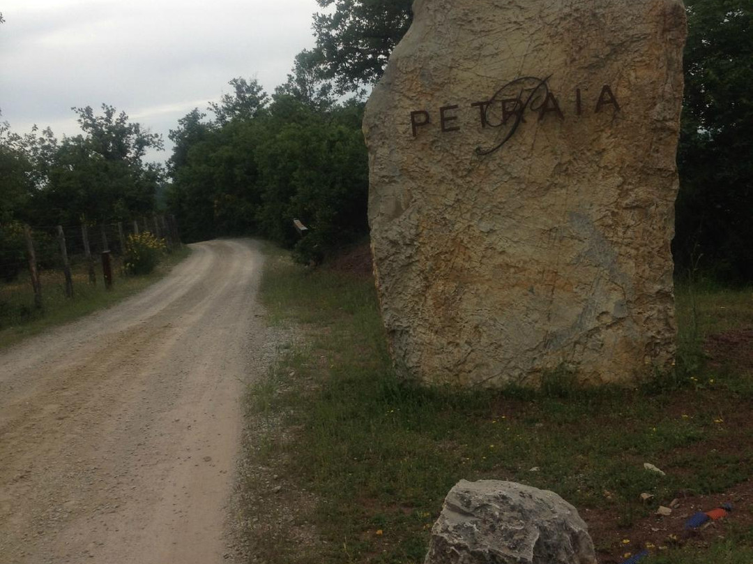 La Petraia主图