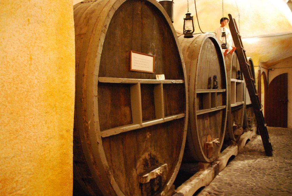 葡萄酒博物馆-Vothonas必去景点