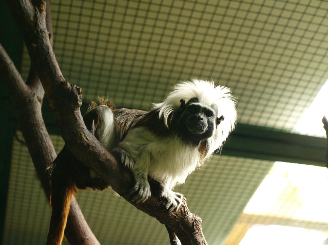 Tallinn Zoo-塔林必去景点