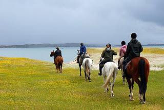 The Connemara Trail Tour-Loughrea必去景点