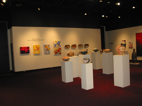 Western Colorado Center for the Arts-大章克申必去景点