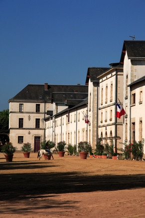 Haras De La Vendée景点图片