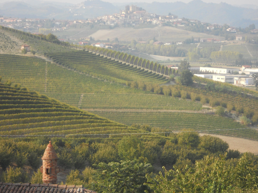 Castello Di Grinzane Cavour景点图片