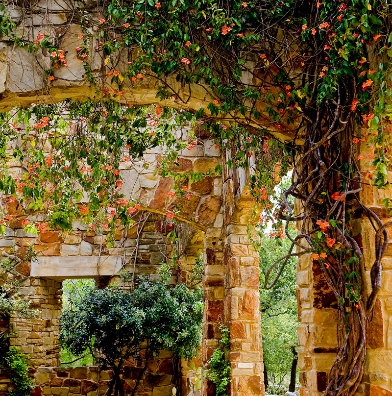 伯德约翰逊夫人野花中心-奥斯丁必去景点