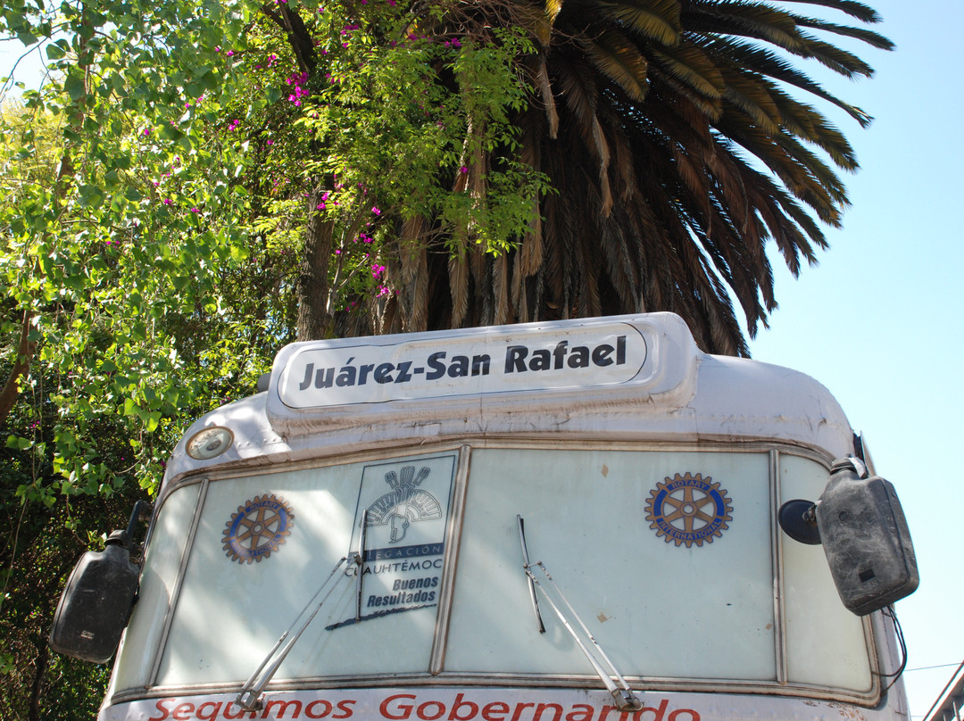 Garden of Art (Jardin del Arte)-墨西哥城必去景点