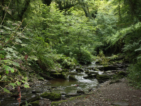 St Nectan's Glen-Tintagel必去景点
