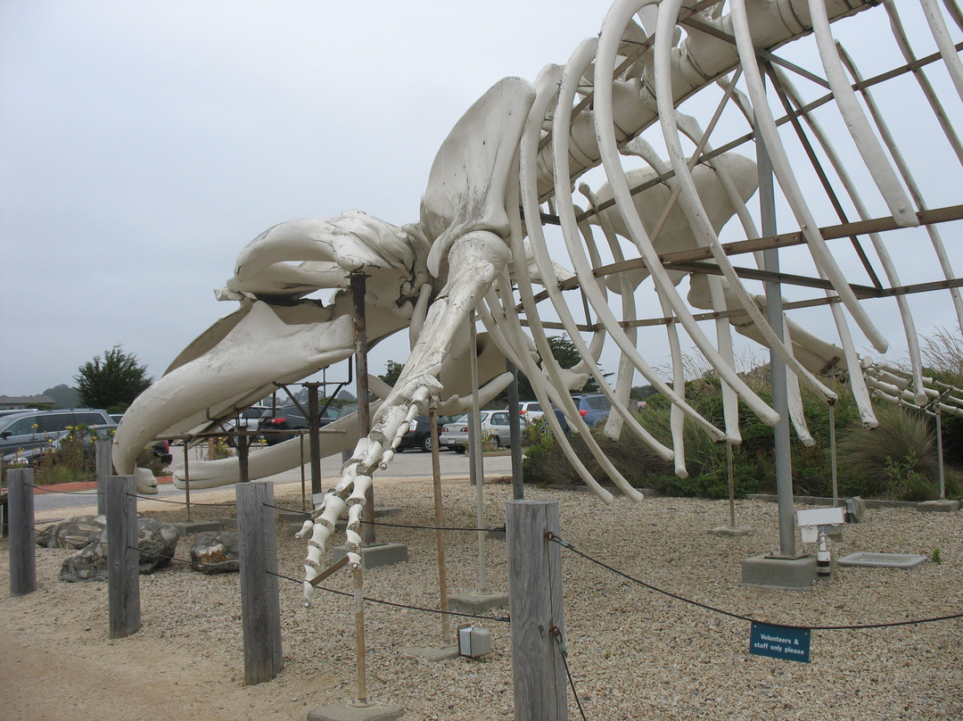 Seymour Marine Discovery Center-圣克鲁斯必去景点