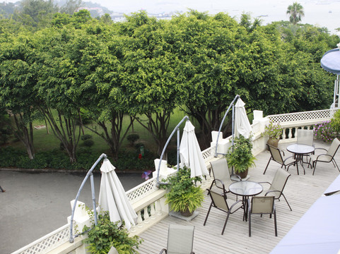 蘑菇咖啡旅馆主图